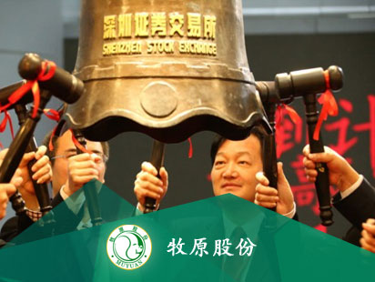 Muyuan comida